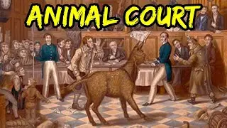 Top 10 Unholy Traditions From The Middle Ages