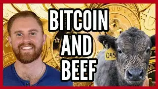 Устойчивость биткоина | Регенеративное сельское хозяйство | Оптимизация здравоохранения | С Трист...