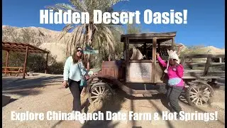Exploring China Ranch Date Farm & Tecopa Hot Springs – Hidden Oasis in the Mojave Desert!