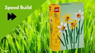 (Speed Build!)  Lego Botanicals: Daffodils  40747!  Speed Build and Overview!