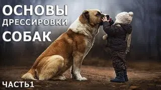 Основы дрессировки собак часть1