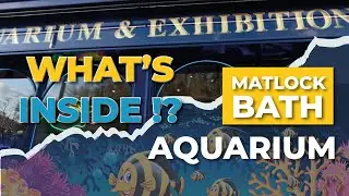 What's inside Matlock Bath Aquarium!?