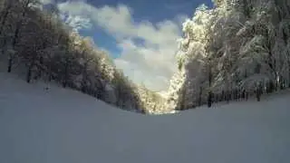 skimap livata