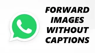 How To Forward Photos and Videos Without Caption In WhatsApp