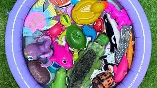 Sea Animals Play & Learn Adventure | Fun Facts & Learning for Toddlers!