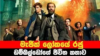 මැජික් ලෝකයේ රජු වන ඩම්බලෝඩ්ගේ කතාව | Movie Explained in Sinhala | Sinhala TVcaps
