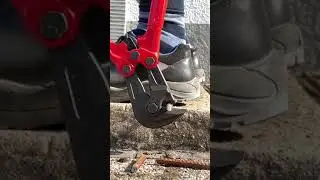 This is no ordinary KNIPEX bolt cutter! The professionals use the Mesh Cutter (71 82 950)! #shorts