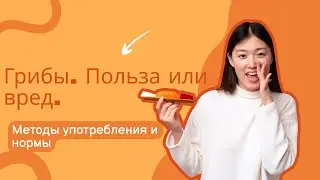 Грибы.  Польза или вред.  Методы употребления и нормы.