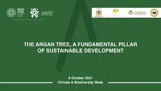 The Argan Tree, a Fundamental Pillar of Sustainable Development (English)