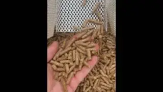 pellets selbst herstellen