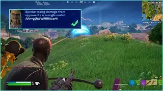 Survive taking damage from opponents in a single match