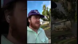 More mailboxes get got #funny#mailbox#roasted