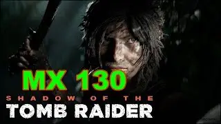 Shadow Of The Tomb Raider Gaming MX 130 Benchmark