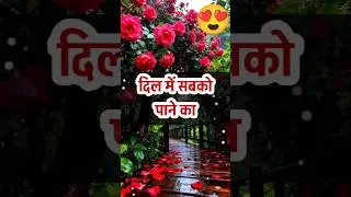 Rose Day Special Video 🌹🥰 happy rose day shayari #shorts #valentineday