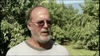 Tropical Wines - America's Heartland