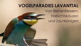Vogelparadies Lavanttal -  K&auml;rnten heute vom 13 02 2025