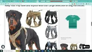 Create Your Profitable shopify dropshipping Store at Cheap Price
