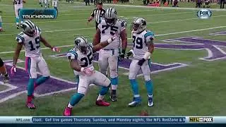 Panthers vs Vikings 2013 Week 6