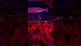 Cool Bali Party: DJ + live percussion 🥁🎵 #dj #djbali #percussion #baliparty