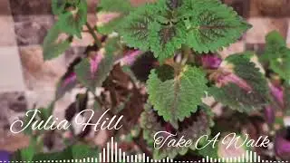 Julia Hill -Take A Walk