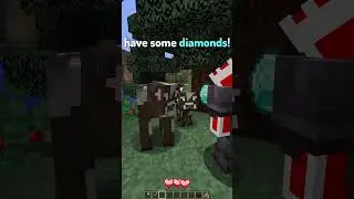 POV: You Meet the Richest Player in Minecraft
