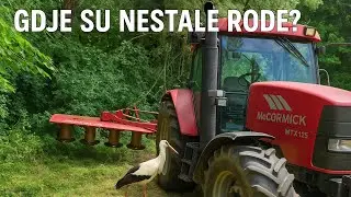 KOŠNJA LIVADA 2025