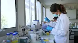 Centre de Recherche en Canc&eacute;rologie de Marseille - 50 ans