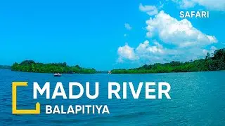 Madu River - River Safari in Sri Lanka