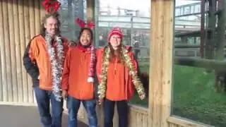 12 Days of Monkey World- Day 8