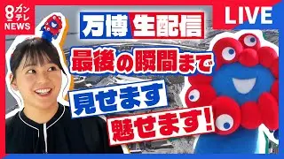 【見逃し配信】さようなら万博&hellip;万博の最後の瞬間を一緒に見届けよう！&ldquo;万博博士&rdquo;谷元星奈アナウンサーが生中継「万博60回訪問」プライベートの片平さんも登場！〈カンテレNEWS〉