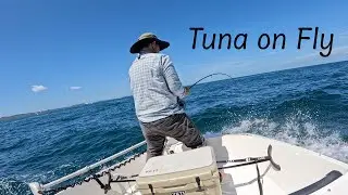 TUNA on Fly!   Australia - Catch & Eat Special