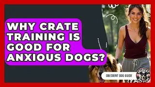 Why Crate Training Is Good For Anxious Dogs? - Obedient Dog Guide