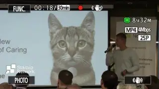 Moggie