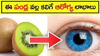Fruits with plenty benefits || Interesting Facts In Telugu || Nikytes