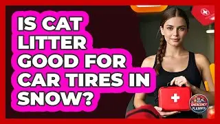 Is Cat Litter Good For Car Tires In Snow?
