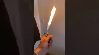 Croc flames 🔥 #viral #lighter #capcut #flames #crocodile