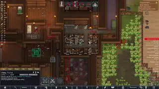 a vidya gem