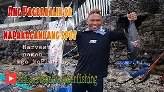 Ang ikalawang pagbalik nina anilao freedive spearfishing sa bahura #anilaofreedivespearfishing