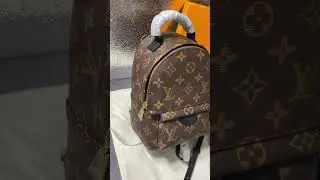 #louisvuitton  palm springs mini
