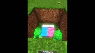 Minecraft Baby turtle Meme #shorts