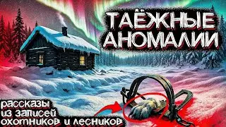 Аномальная ТАЙГА России  Реальные Истории Геологов и Охотников  Страшные истории