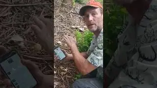 MUSHROOM iNat Observation Demo Part 3 (w/ Thomas Patterson)