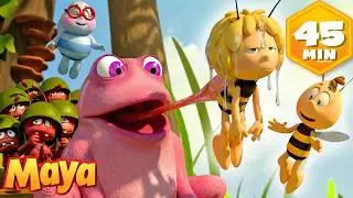 &iexcl;Escapa con una rana gigante! 🐝👑 La abeja Maya | Animaj Kids - Cuentos y aventuras | Dibujos anima