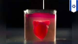 Scientists create the world's first 3D-printed heart - TomoNews