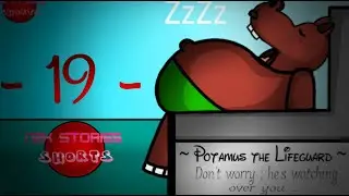 N2K stories shorts #19 