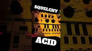 Squelchy Acid &mdash; Sounds a bit like a Didgeridoo. Behringer TD-3-MO #acid #303 #rtechno #music