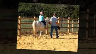 Riding Schools - Twiglets Riding School