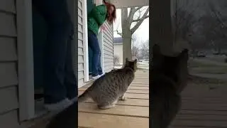 Unbelievable AI Security Camera Moment 🚪 #shorts #viral #trending