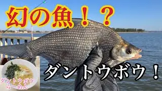 釣った魚でラーメン作ろう♪６　【ダントウボウらーめん】