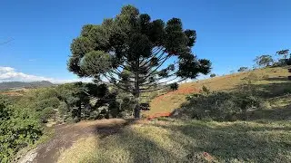 Terreno para chalés | 70.000 mts em Camanducaia MG